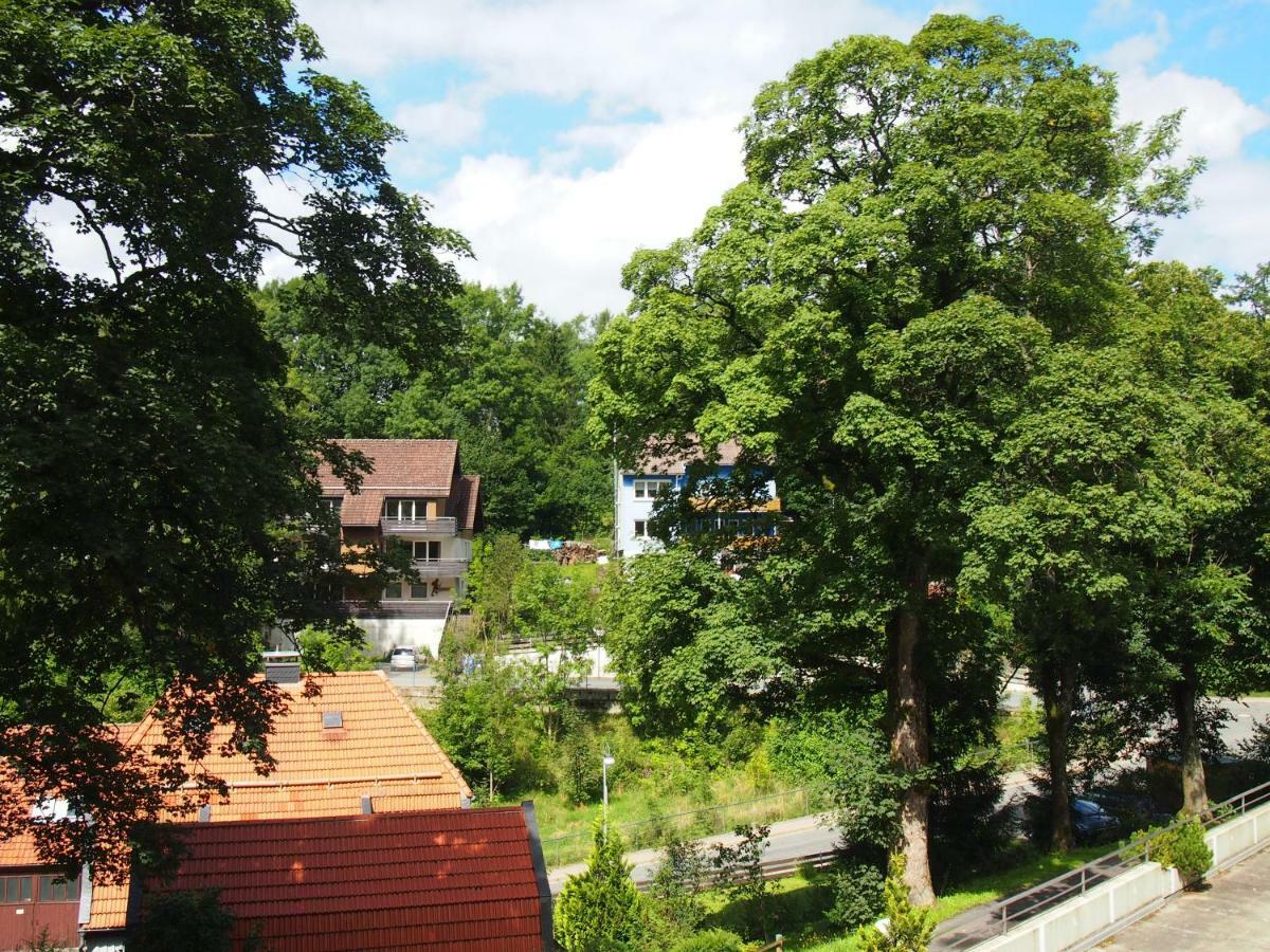 Apartment Harzgruen Sankt Andreasberg Exteriér fotografie